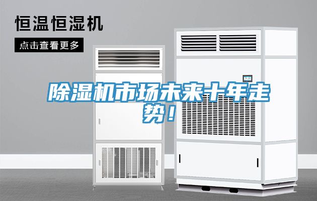 除濕機(jī)市場未來十年走勢！