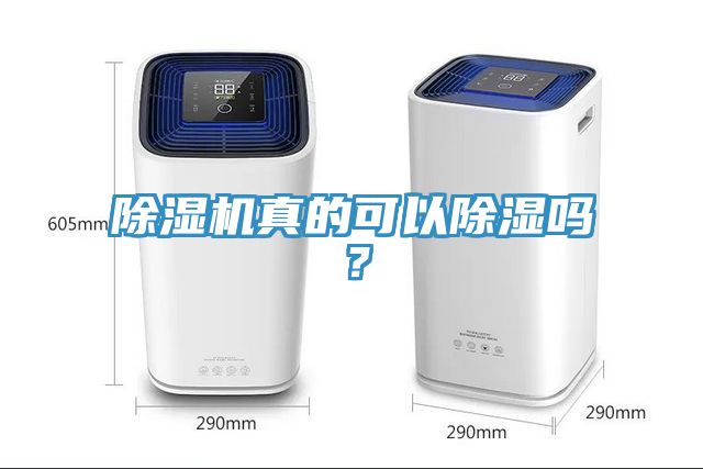 除濕機(jī)真的可以除濕嗎？