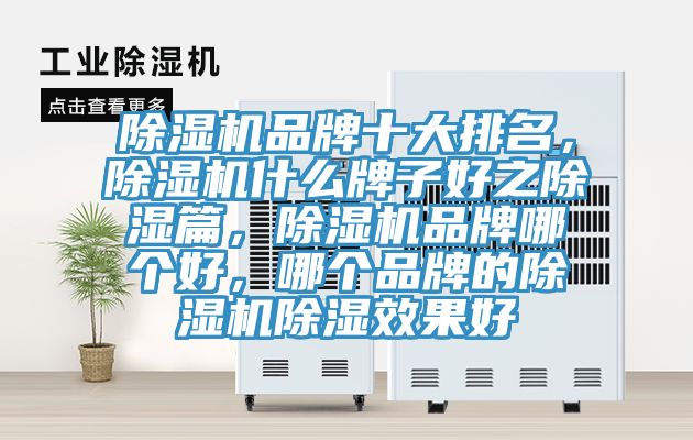 除濕機(jī)品牌十大排名，除濕機(jī)什么牌子好之除濕篇，除濕機(jī)品牌哪個(gè)好，哪個(gè)品牌的除濕機(jī)除濕效果好