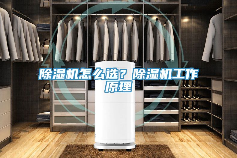 除濕機(jī)怎么選?除濕機(jī)工作原理
