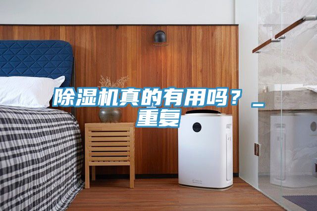 除濕機(jī)真的有用嗎？_重復(fù)