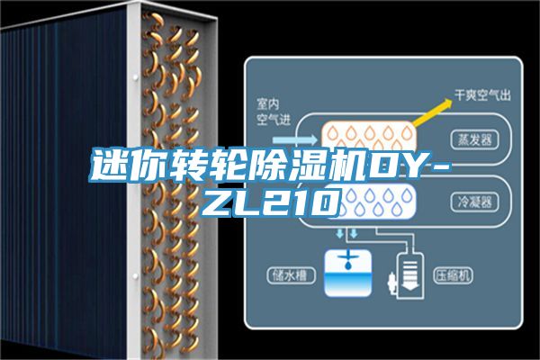 迷你轉(zhuǎn)輪除濕機(jī)DY-ZL210