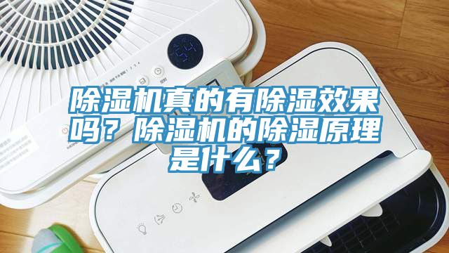 除濕機(jī)真的有除濕效果嗎？除濕機(jī)的除濕原理是什么？