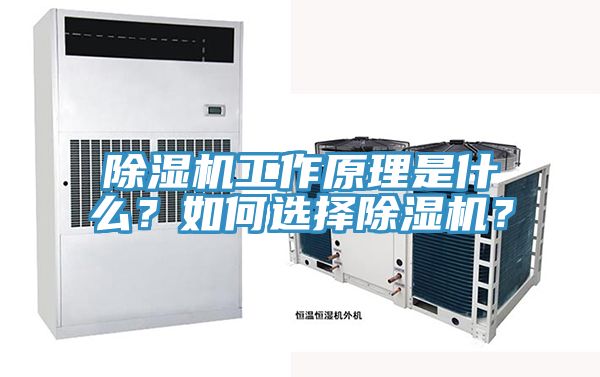 除濕機工作原理是什么？如何選擇除濕機？