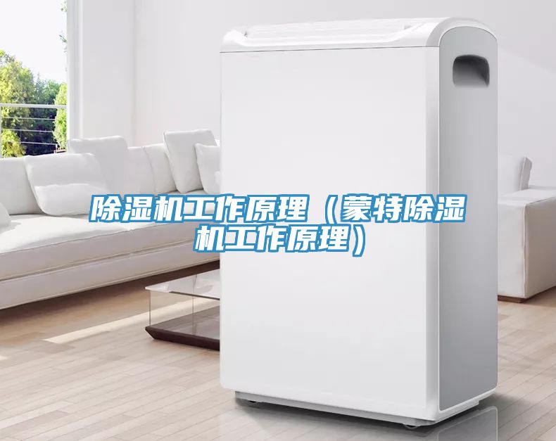 除濕機(jī)工作原理（蒙特除濕機(jī)工作原理）
