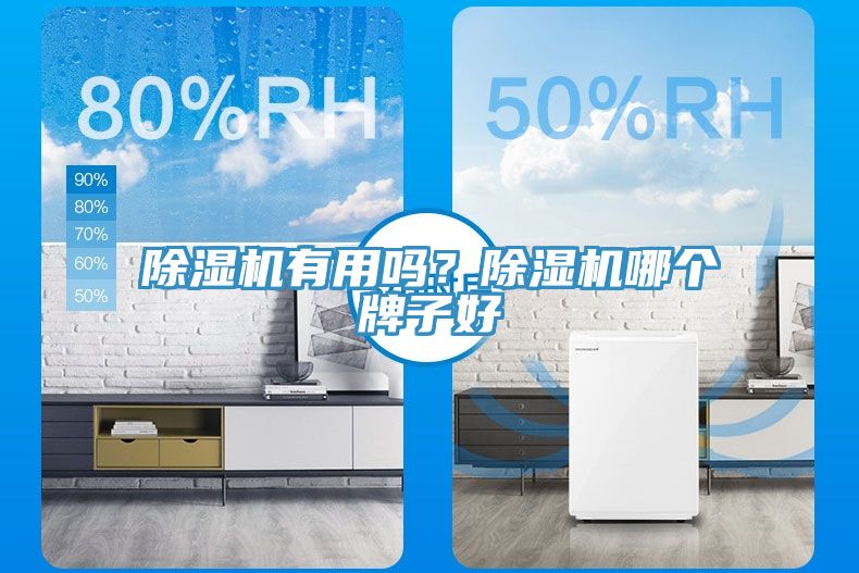 除濕機有用嗎？除濕機哪個牌子好