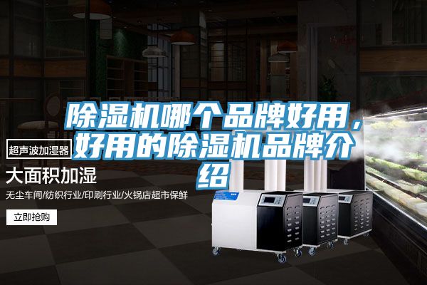 除濕機(jī)哪個(gè)品牌好用，好用的除濕機(jī)品牌介紹