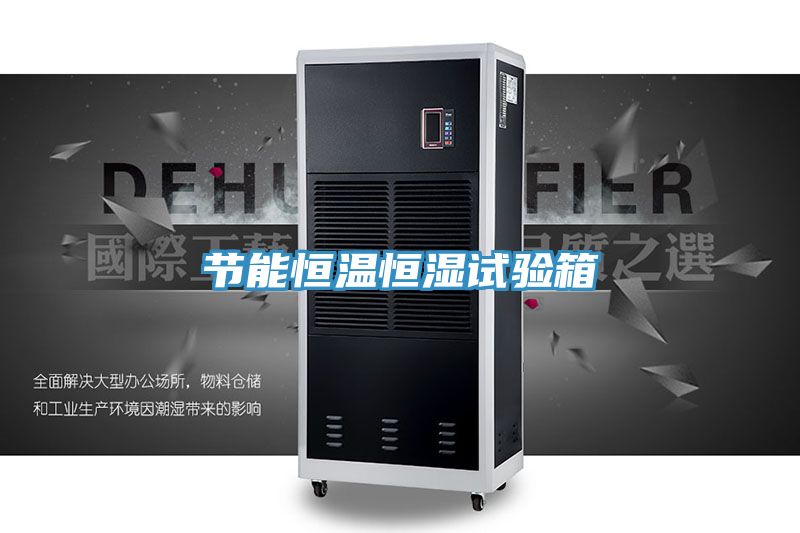 節(jié)能恒溫恒濕試驗(yàn)箱