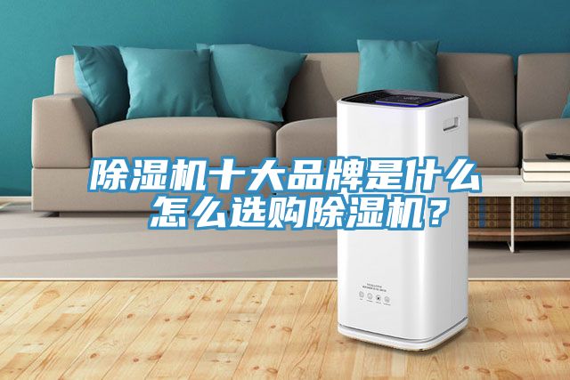 除濕機(jī)十大品牌是什么 怎么選購除濕機(jī)？