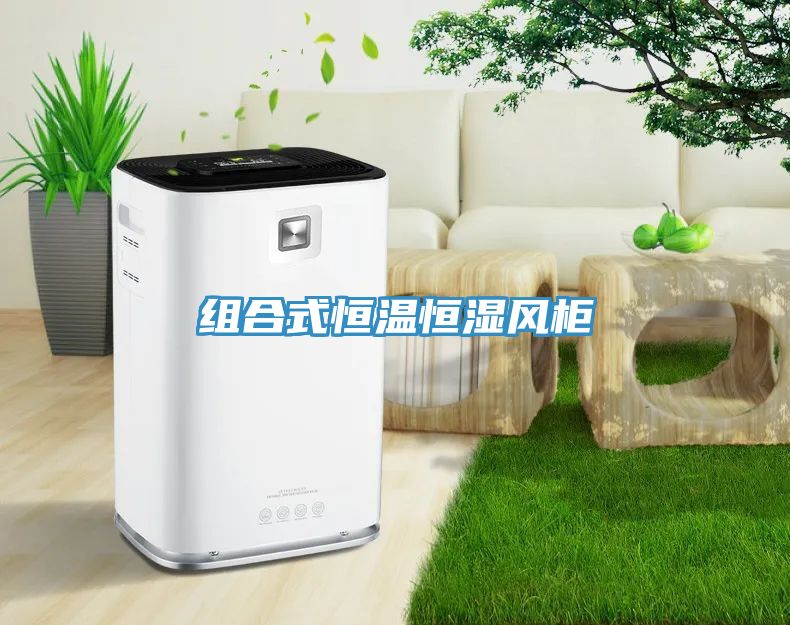 組合式恒溫恒濕風(fēng)柜