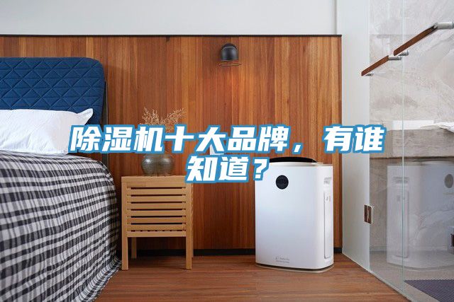 除濕機(jī)十大品牌，有誰知道？