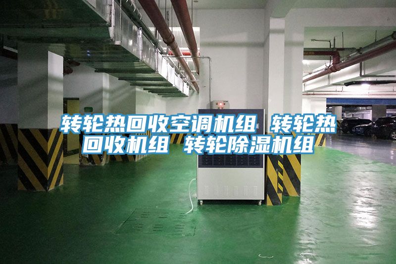 轉(zhuǎn)輪熱回收空調(diào)機(jī)組 轉(zhuǎn)輪熱回收機(jī)組 轉(zhuǎn)輪除濕機(jī)組