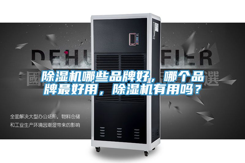 除濕機哪些品牌好，哪個品牌最好用，除濕機有用嗎？