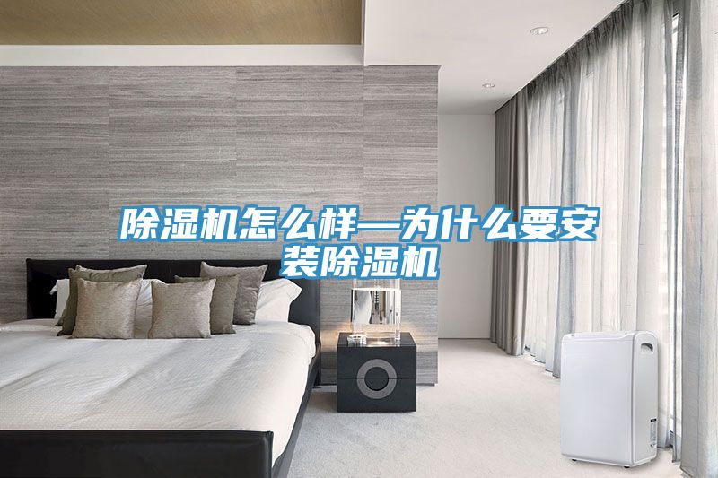 除濕機(jī)怎么樣—為什么要安裝除濕機(jī)