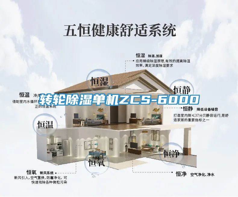 轉(zhuǎn)輪除濕單機(jī)ZCS-6000
