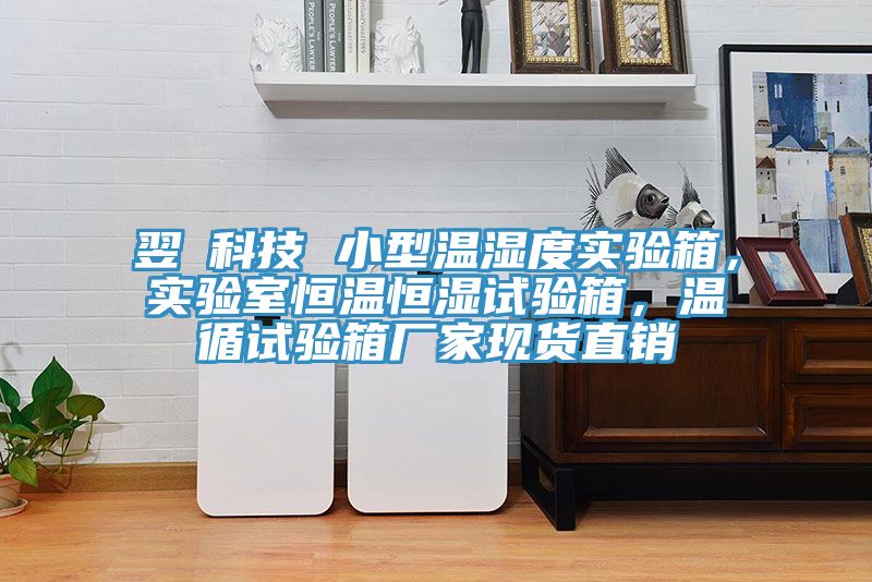 翌昇科技 小型溫濕度實(shí)驗(yàn)箱，實(shí)驗(yàn)室恒溫恒濕試驗(yàn)箱，溫循試驗(yàn)箱廠家現(xiàn)貨直銷