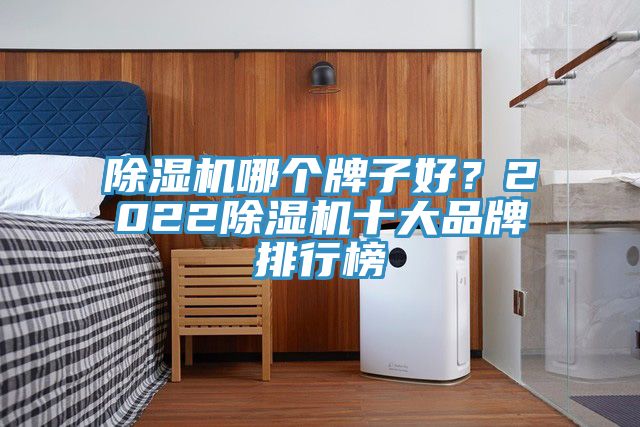 除濕機(jī)哪個(gè)牌子好？2022除濕機(jī)十大品牌排行榜