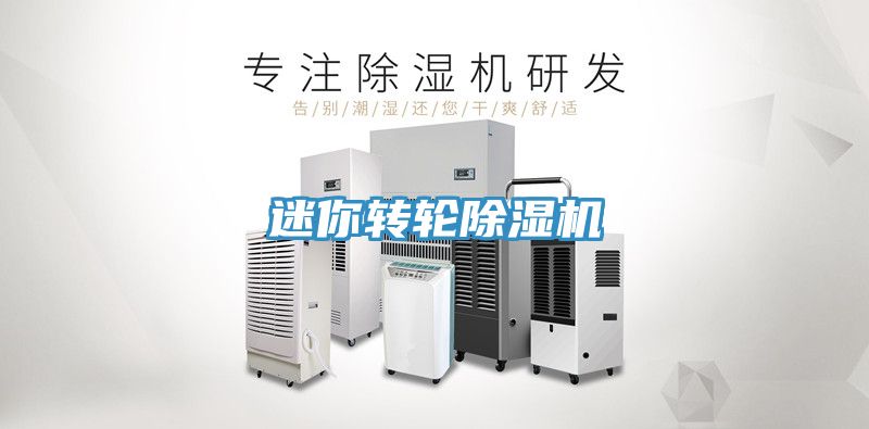 迷你轉(zhuǎn)輪除濕機(jī)