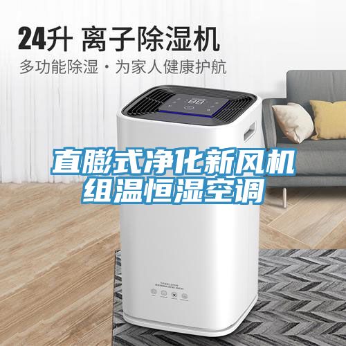直膨式凈化新風(fēng)機組溫恒濕空調(diào)