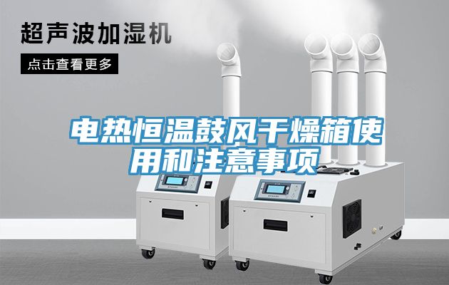電熱恒溫鼓風(fēng)干燥箱使用和注意事項(xiàng)
