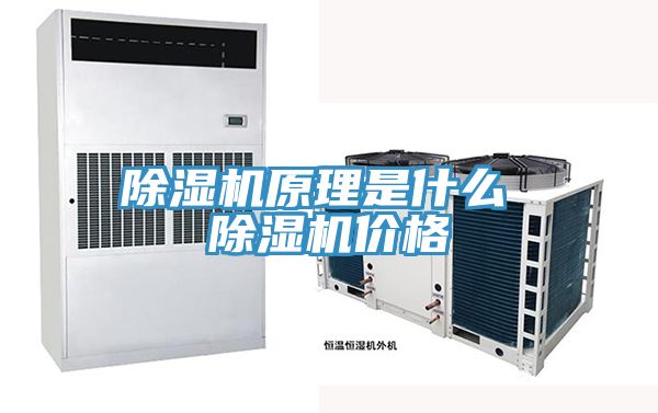 除濕機原理是什么 除濕機價格