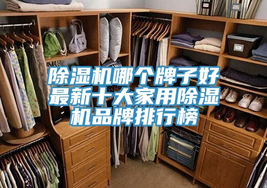 除濕機(jī)哪個(gè)牌子好最新十大家用除濕機(jī)品牌排行榜