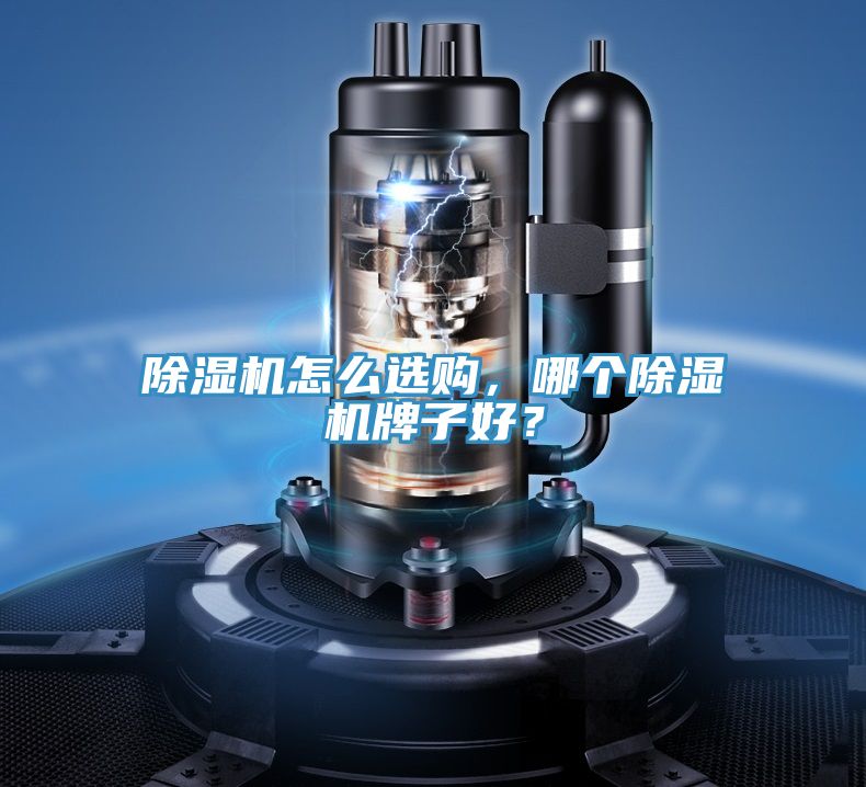 除濕機怎么選購，哪個除濕機牌子好？