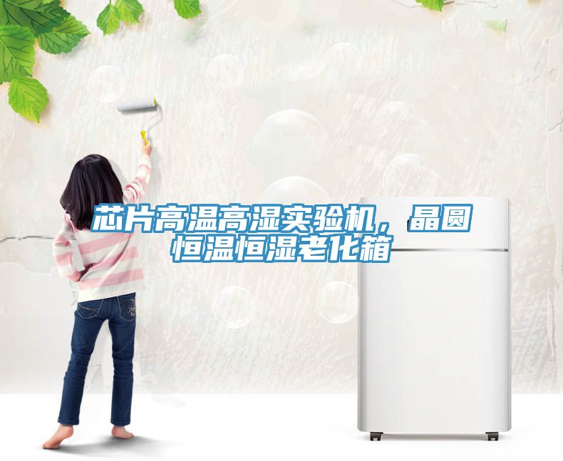 芯片高溫高濕實(shí)驗(yàn)機(jī)，晶圓恒溫恒濕老化箱