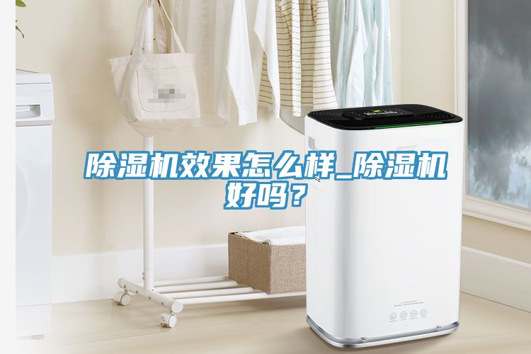 除濕機效果怎么樣_除濕機好嗎？