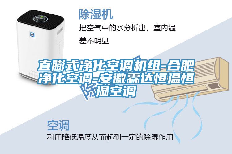 直膨式凈化空調(diào)機組-合肥凈化空調(diào)-安徽霖達(dá)恒溫恒濕空調(diào)