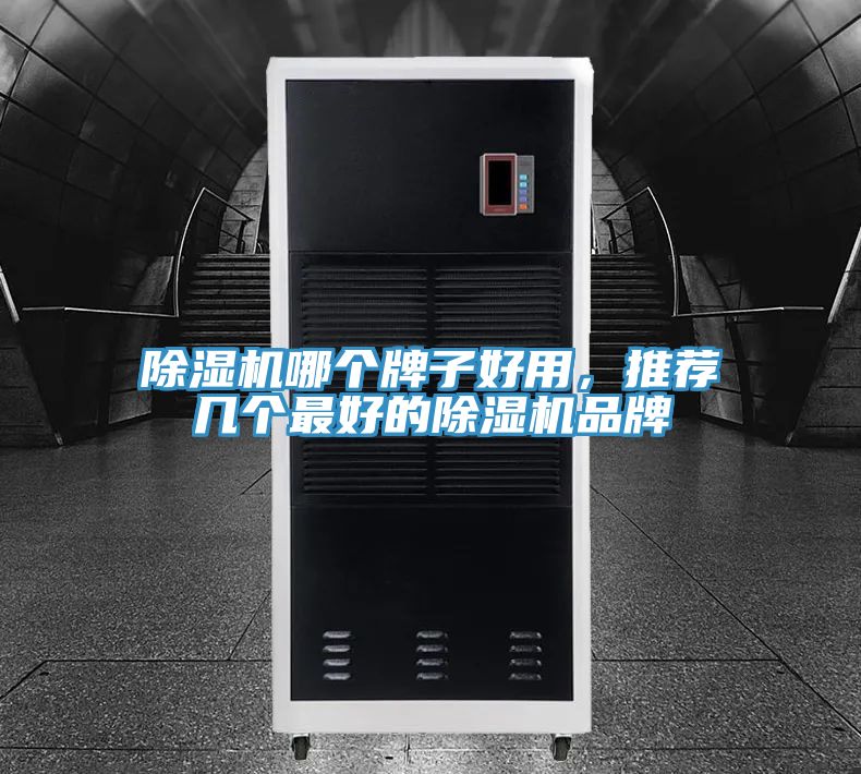 除濕機(jī)哪個(gè)牌子好用，推薦幾個(gè)最好的除濕機(jī)品牌