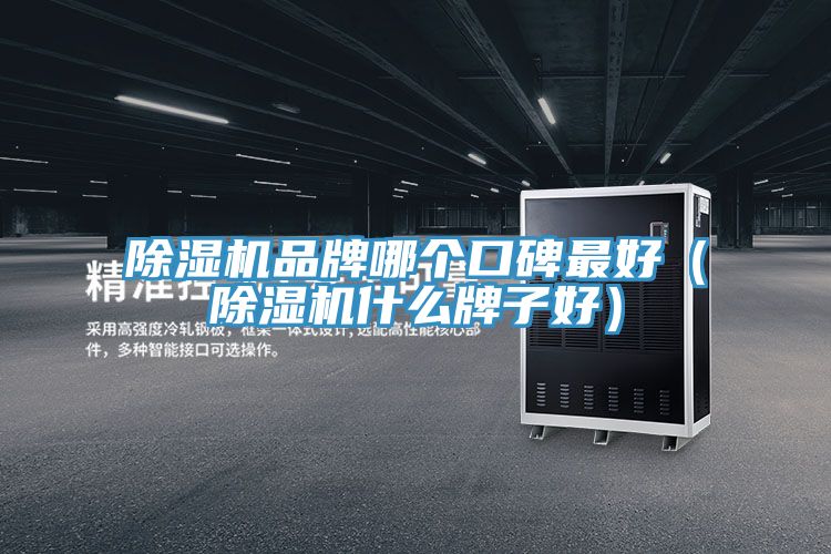 除濕機(jī)品牌哪個(gè)口碑最好（除濕機(jī)什么牌子好）