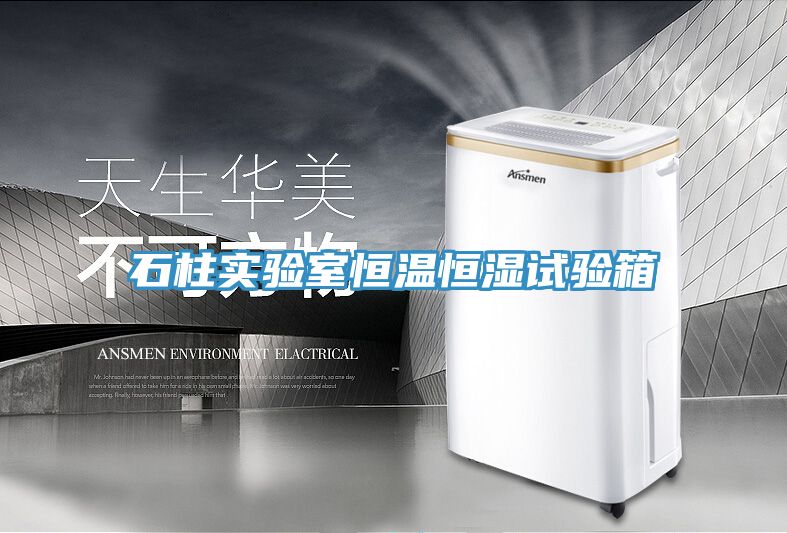 石柱實驗室恒溫恒濕試驗箱