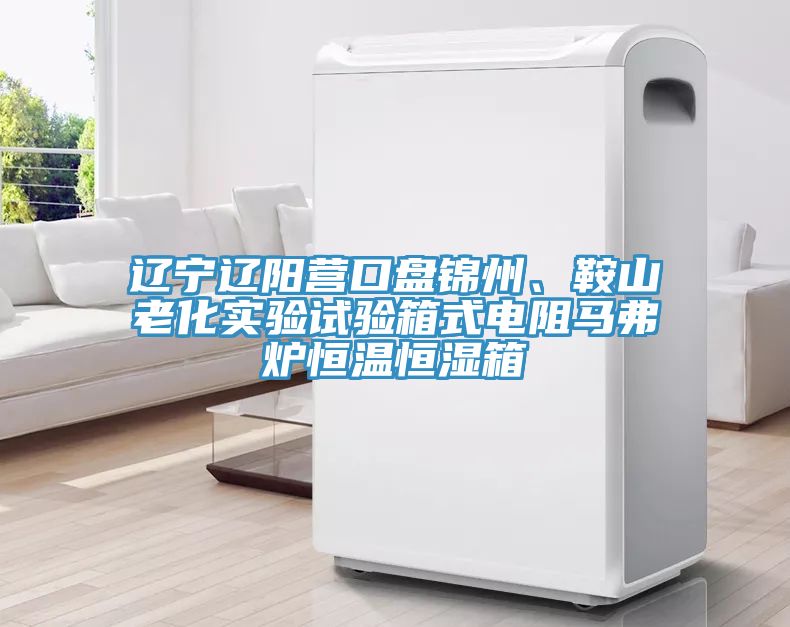 遼寧遼陽(yáng)營(yíng)口盤錦州、鞍山老化實(shí)驗(yàn)試驗(yàn)箱式電阻馬弗爐恒溫恒濕箱