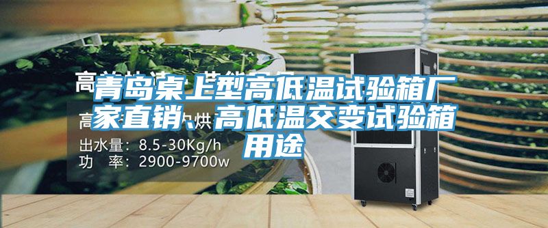 青島桌上型高低溫試驗(yàn)箱廠家直銷、高低溫交變?cè)囼?yàn)箱用途