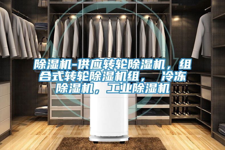 除濕機-供應(yīng)轉(zhuǎn)輪除濕機，組合式轉(zhuǎn)輪除濕機組， 冷凍除濕機，工業(yè)除濕機
