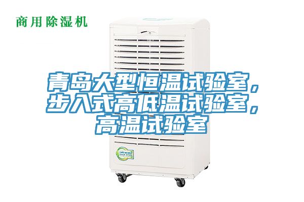 青島大型恒溫試驗室，步入式高低溫試驗室，高溫試驗室