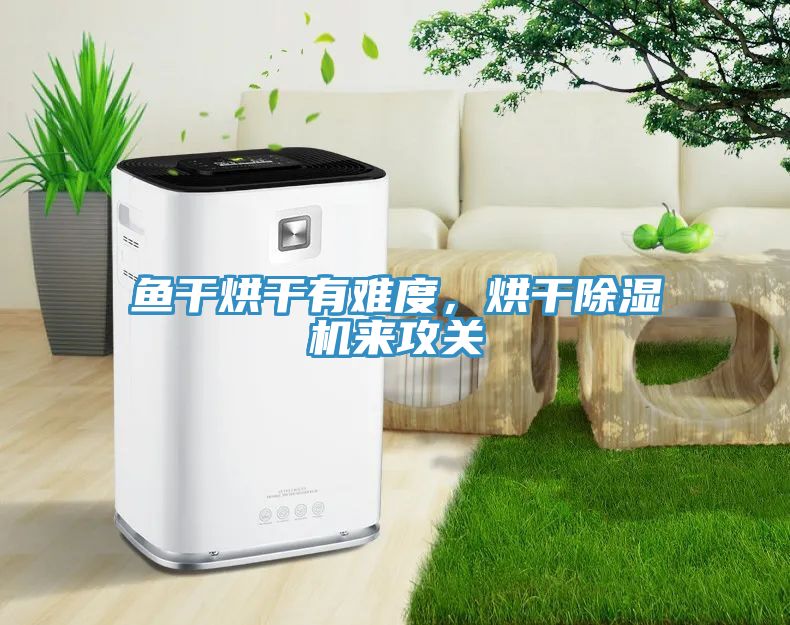 魚干烘干有難度，烘干除濕機(jī)來攻關(guān)