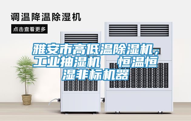雅安市高低溫除濕機(jī)，工業(yè)抽濕機(jī)  恒溫恒濕非標(biāo)機(jī)器