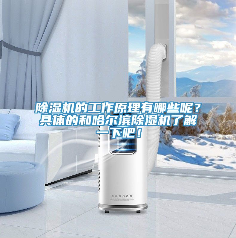 除濕機(jī)的工作原理有哪些呢？具體的和哈爾濱除濕機(jī)了解一下吧！