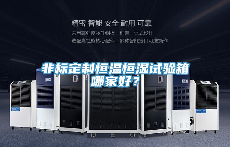 非標(biāo)定制恒溫恒濕試驗(yàn)箱哪家好？