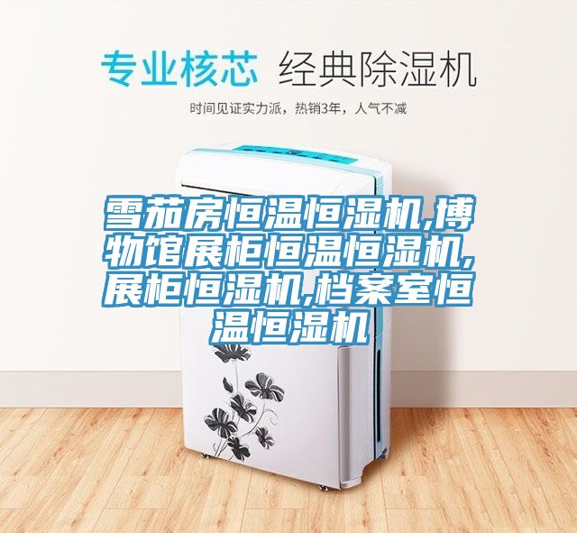 雪茄房恒溫恒濕機(jī),博物館展柜恒溫恒濕機(jī),展柜恒濕機(jī),檔案室恒溫恒濕機(jī)