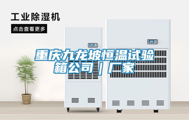 重慶九龍坡恒溫試驗(yàn)箱公司|廠家