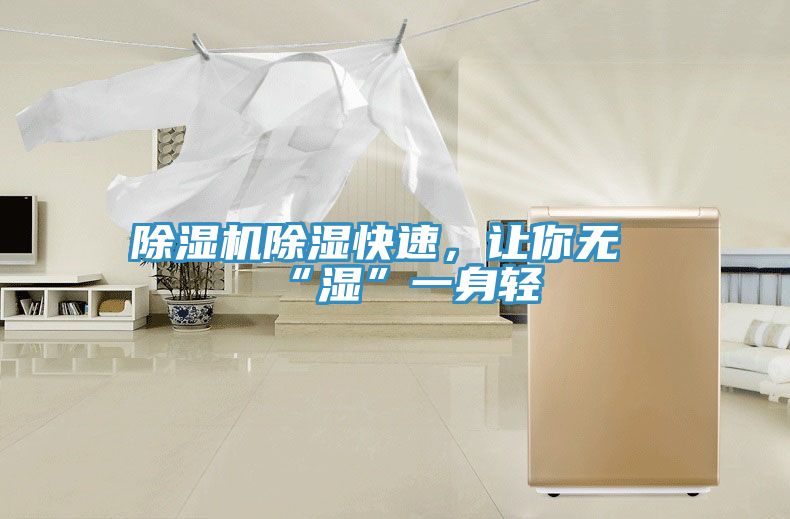 除濕機(jī)除濕快速，讓你無“濕”一身輕