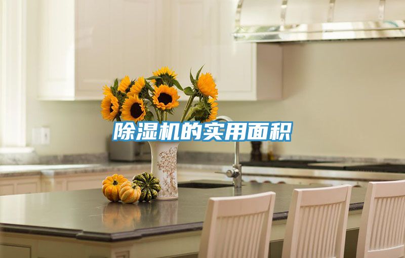 除濕機(jī)的實用面積