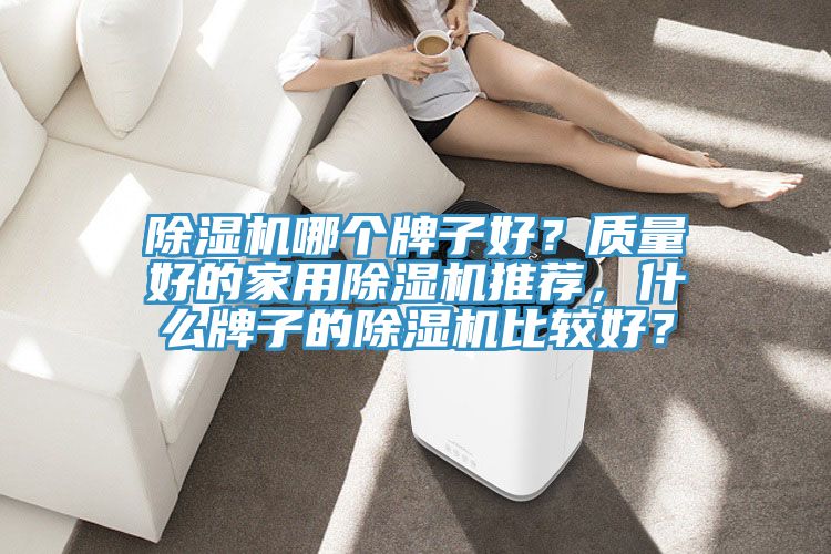 除濕機(jī)哪個(gè)牌子好？質(zhì)量好的家用除濕機(jī)推薦，什么牌子的除濕機(jī)比較好？