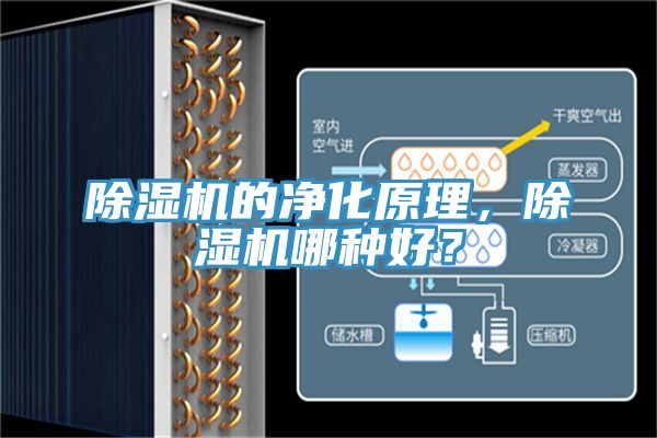 除濕機的凈化原理，除濕機哪種好？