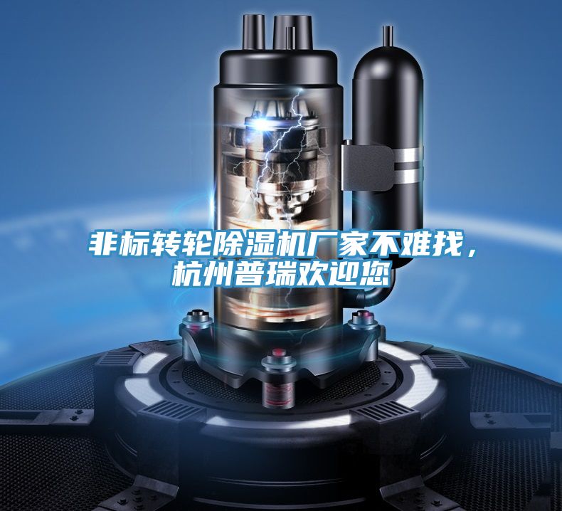 非標轉輪除濕機廠家不難找，杭州普瑞歡迎您