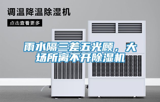 雨水隔三差五光顧，大場所離不開除濕機(jī)