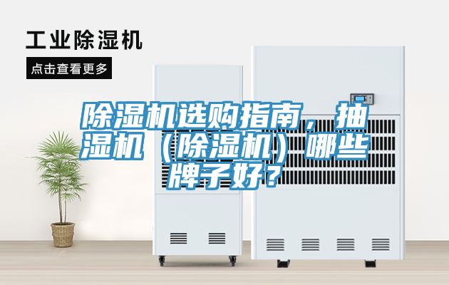 除濕機選購指南，抽濕機（除濕機）哪些牌子好？